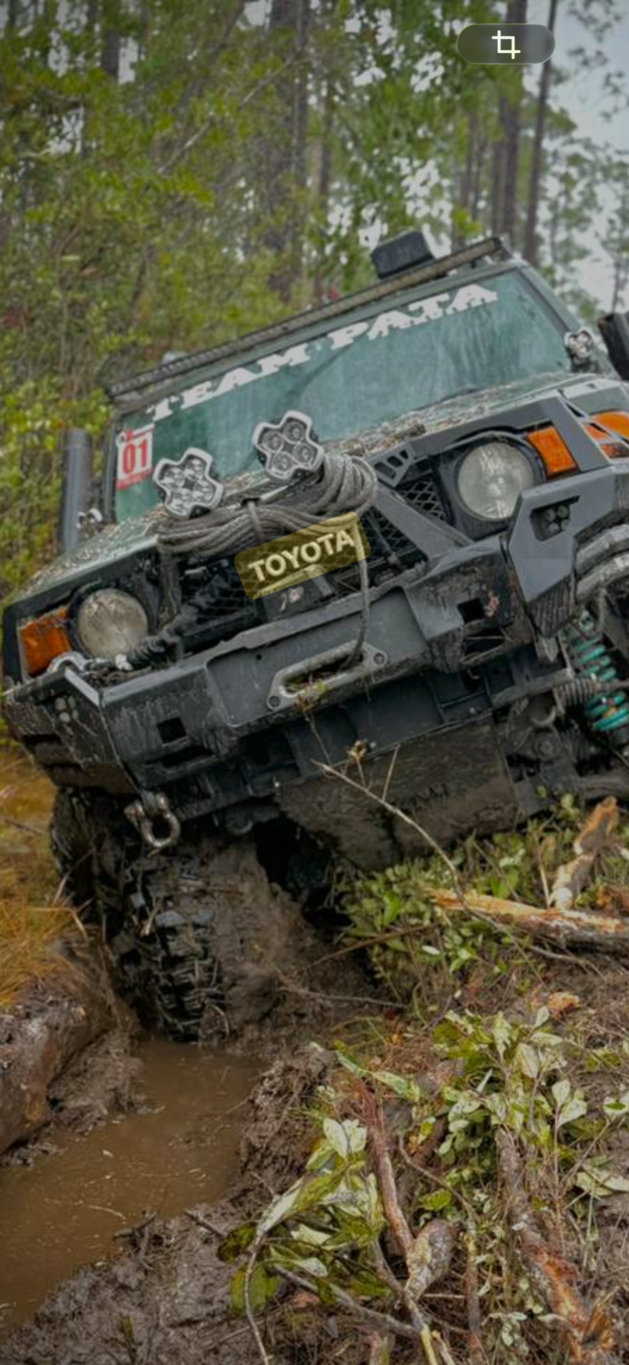 Banner Reflectivo para Parabrisas “TEAM PATA” 🚘✨